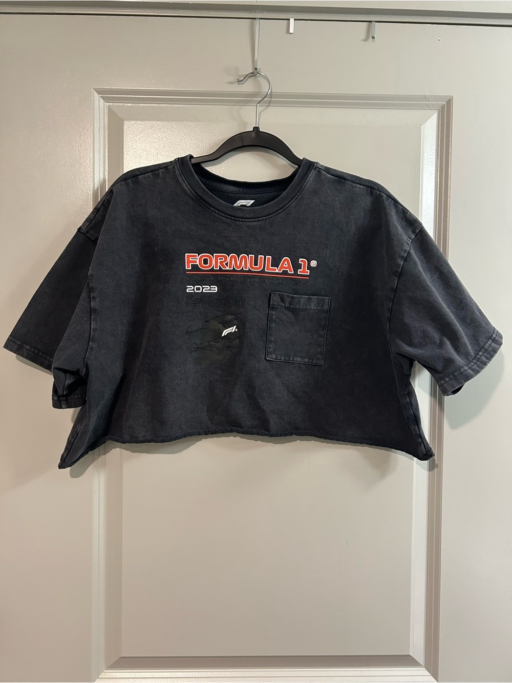PacSun Black Formula 1 Graphic Cropped Tee